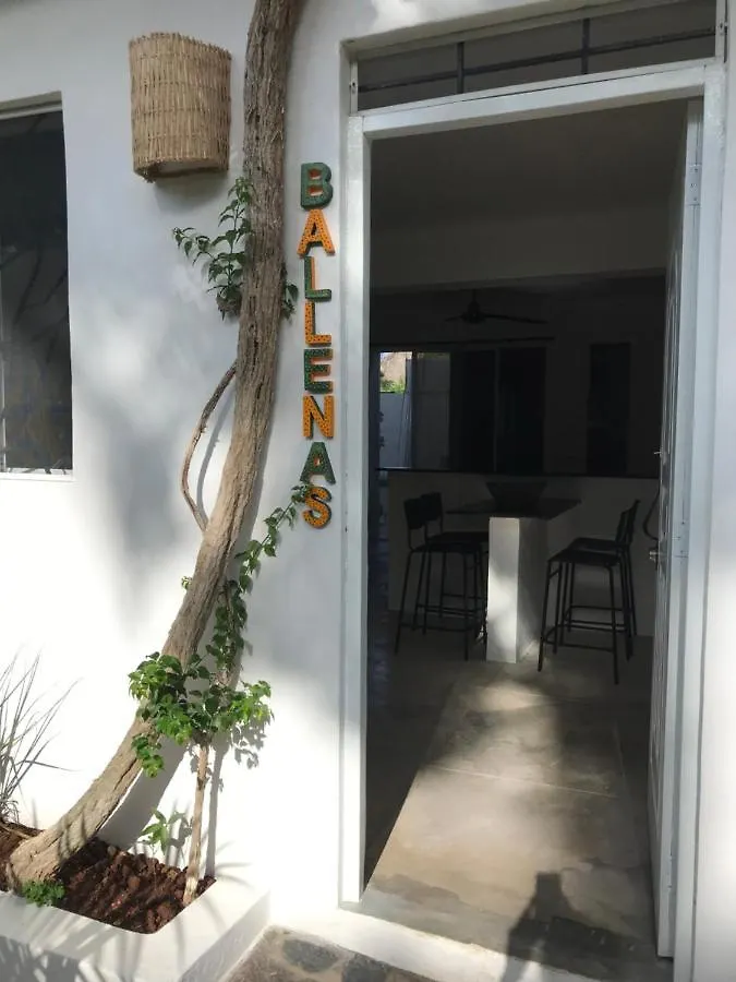 New Moringa Apartment Las Terrenas 0*,