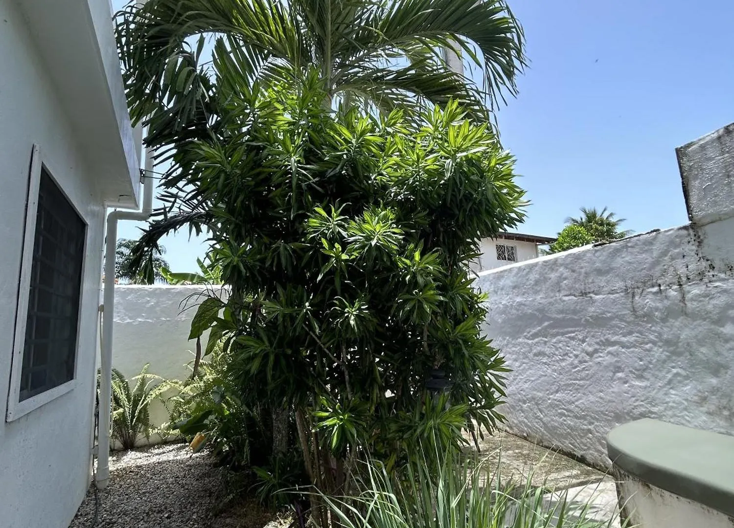 New Moringa Apartment Las Terrenas